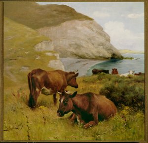 Cerca de Lizard Point, Cornualles